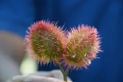 a87287bd-8c90-491f-a278-2013b761690c